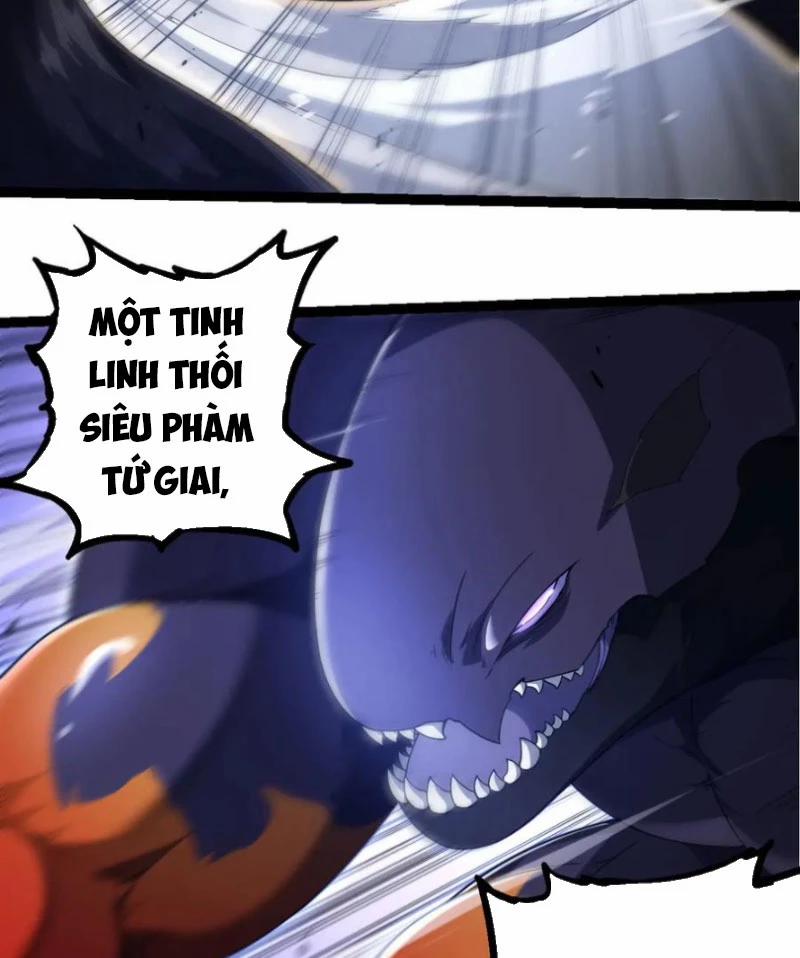 Chuyển Sinh Thành Liễu Đột Biến 304 trang 14