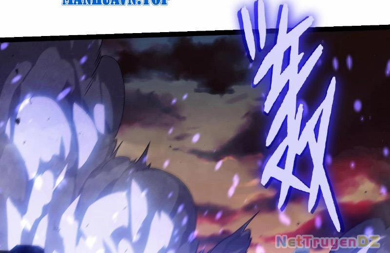 Chuyển Sinh Thành Liễu Đột Biến 312 trang 12