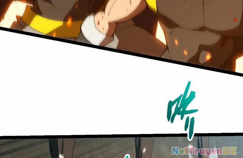 Chuyển Sinh Thành Liễu Đột Biến 312 trang 4