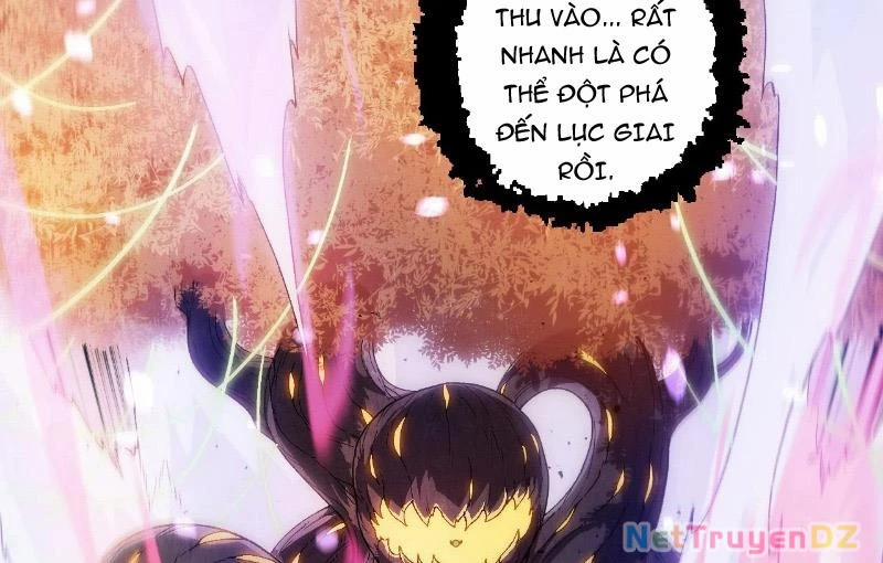 Chuyển Sinh Thành Liễu Đột Biến 312 trang 96
