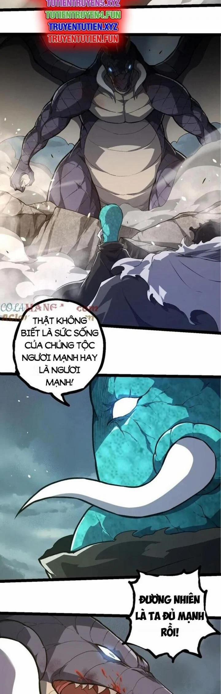 Chuyển Sinh Thành Liễu Đột Biến 317 trang 11