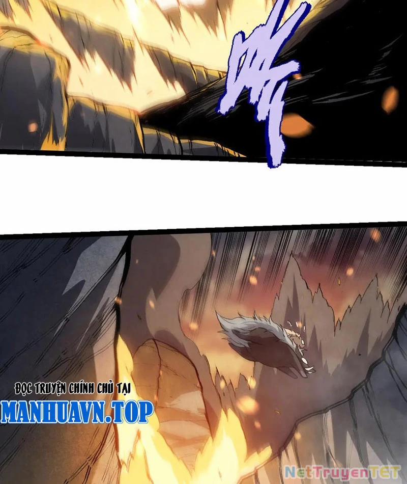 Chuyển Sinh Thành Liễu Đột Biến 325 trang 21