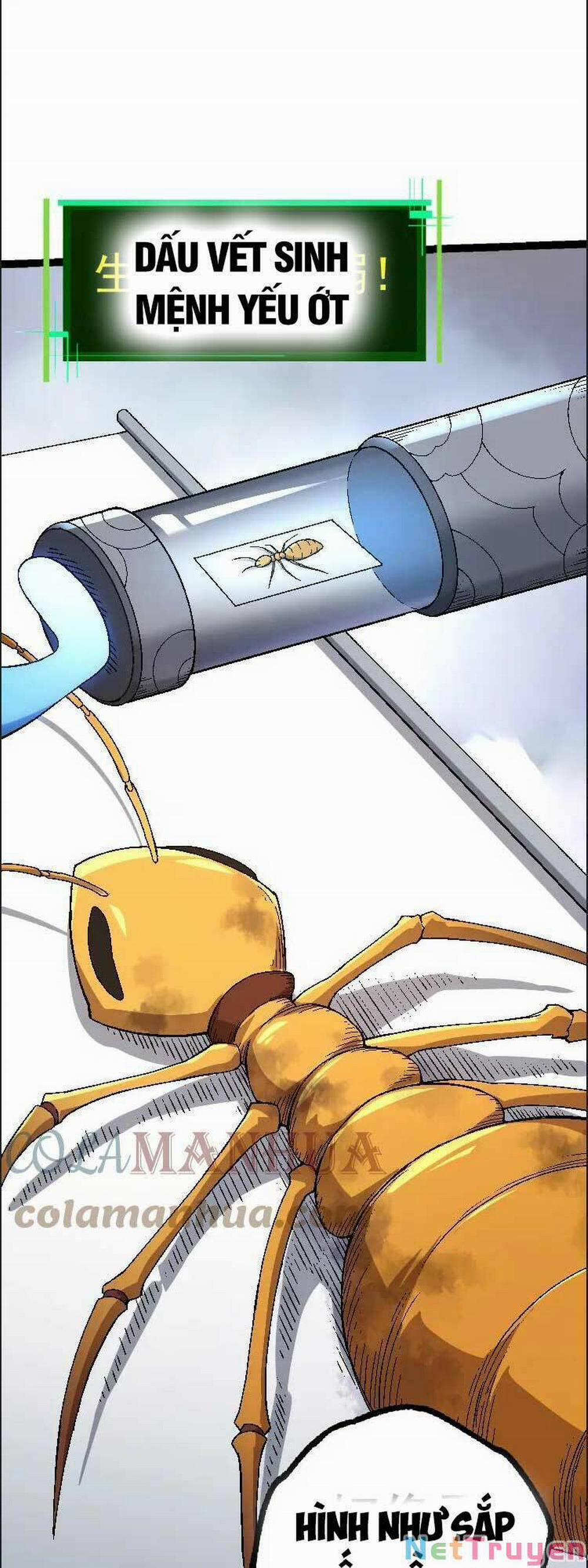 Chuyển Sinh Thành Liễu Đột Biến 36 trang 19