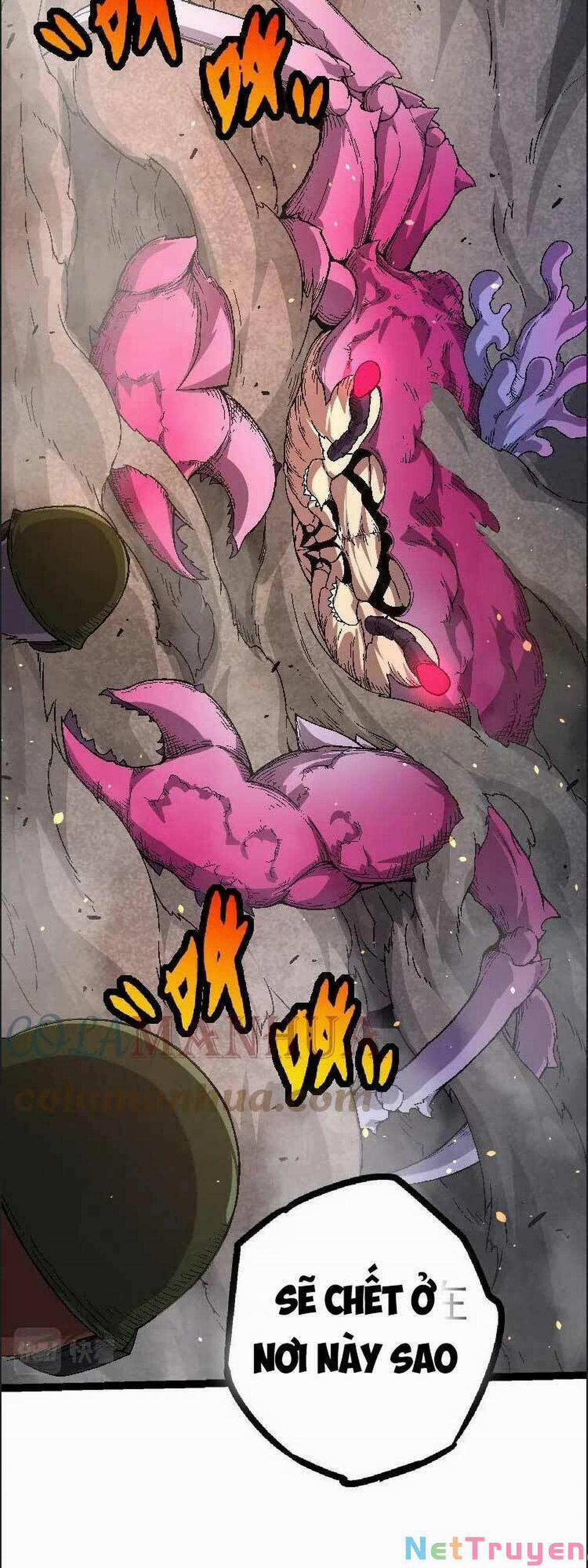 Chuyển Sinh Thành Liễu Đột Biến 36 trang 8