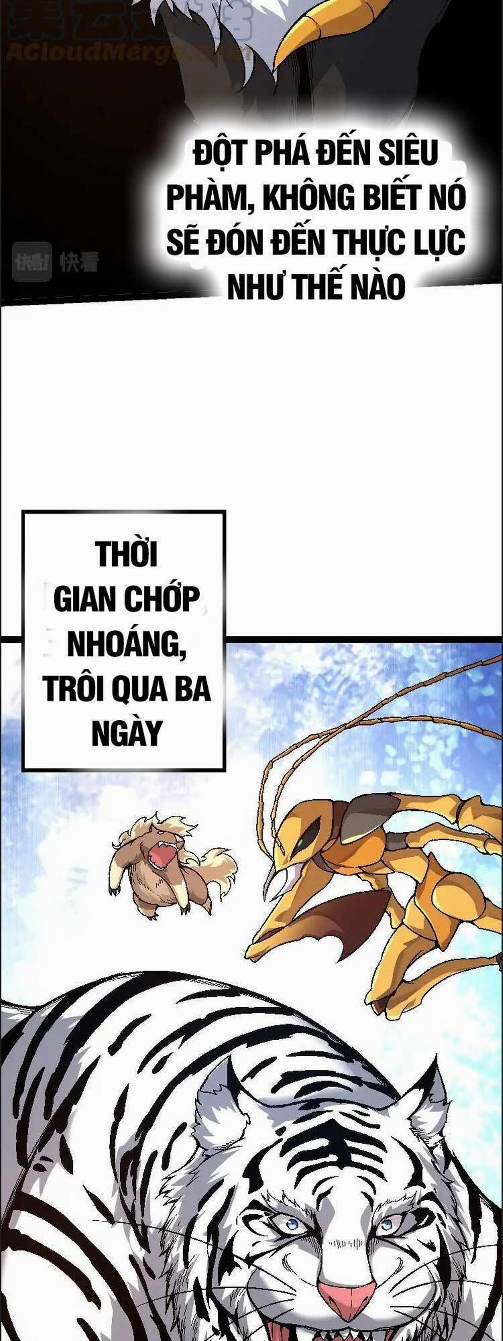 Chuyển Sinh Thành Liễu Đột Biến 42 trang 39