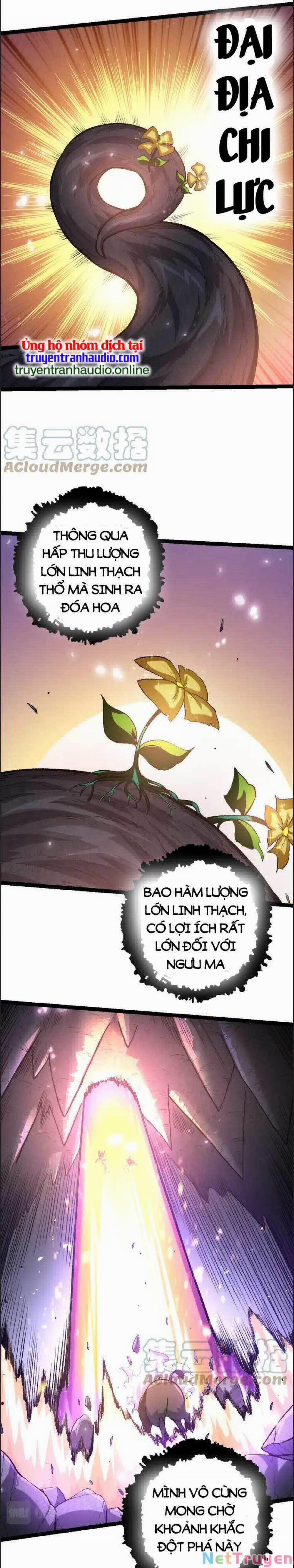 Chuyển Sinh Thành Liễu Đột Biến 43 trang 13