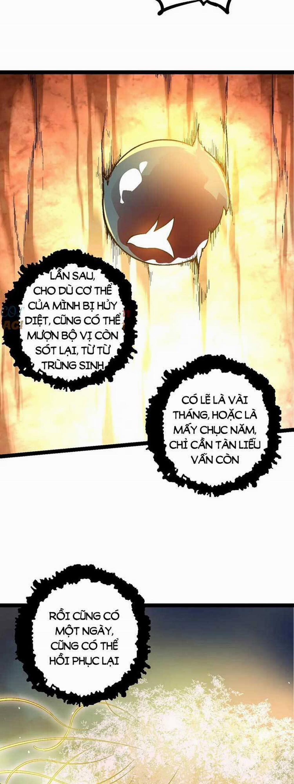 Chuyển Sinh Thành Liễu Đột Biến 70 trang 14