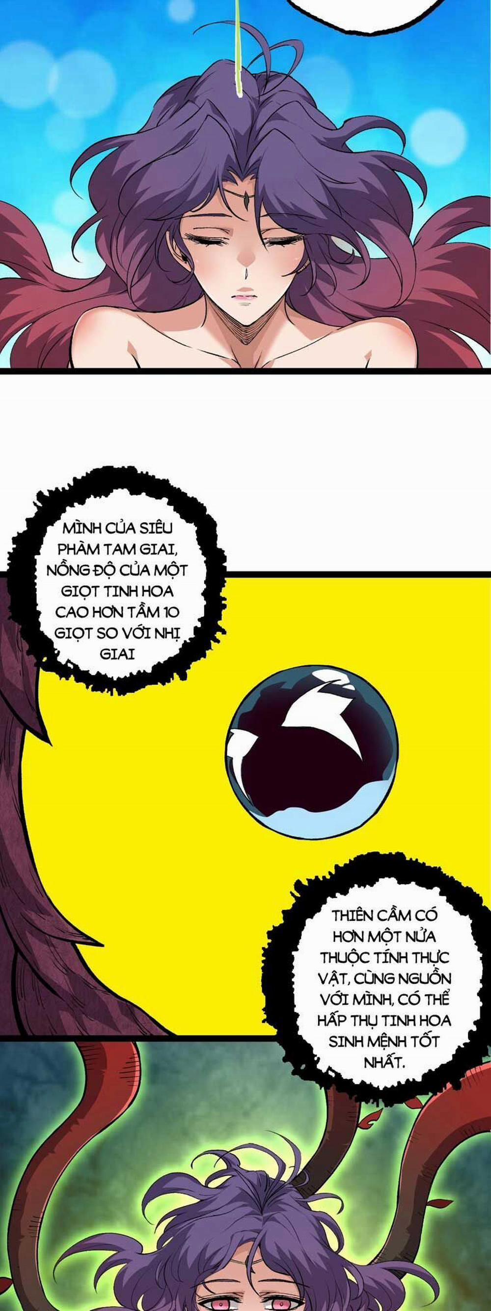 Chuyển Sinh Thành Liễu Đột Biến 72 trang 4
