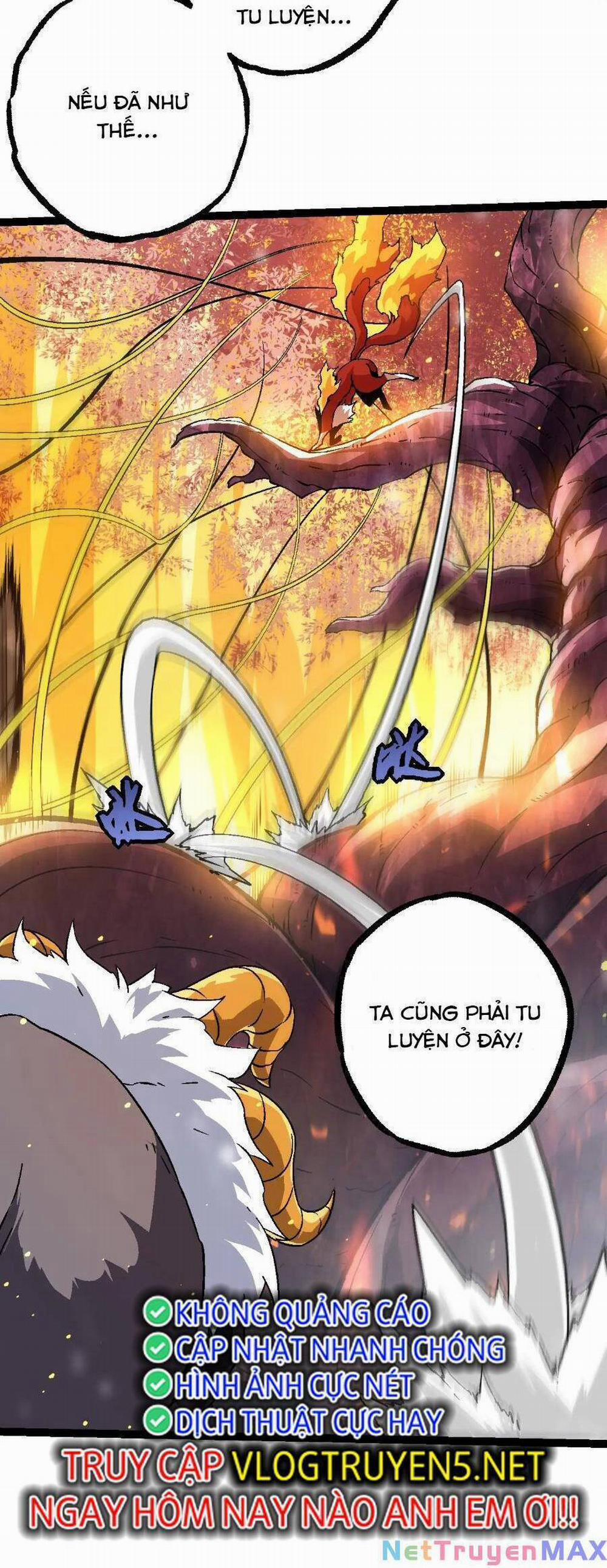 Chuyển Sinh Thành Liễu Đột Biến 80 trang 11