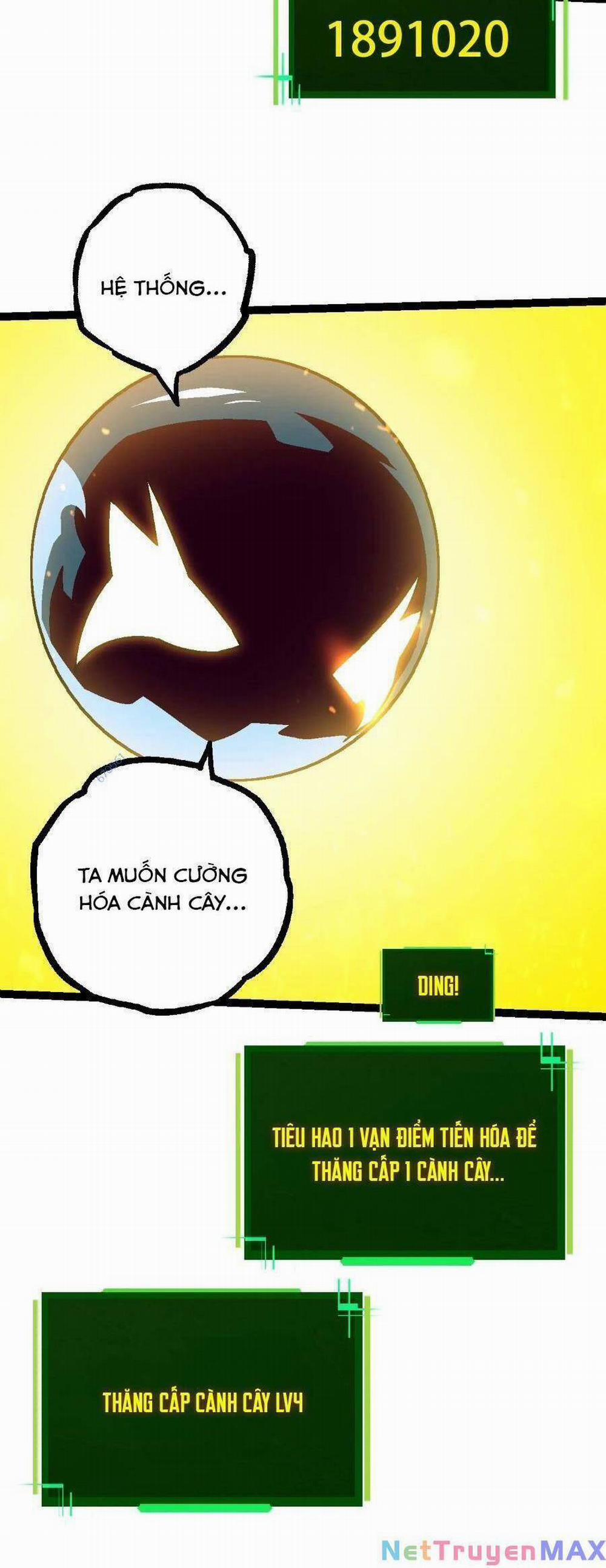 Chuyển Sinh Thành Liễu Đột Biến 80 trang 14