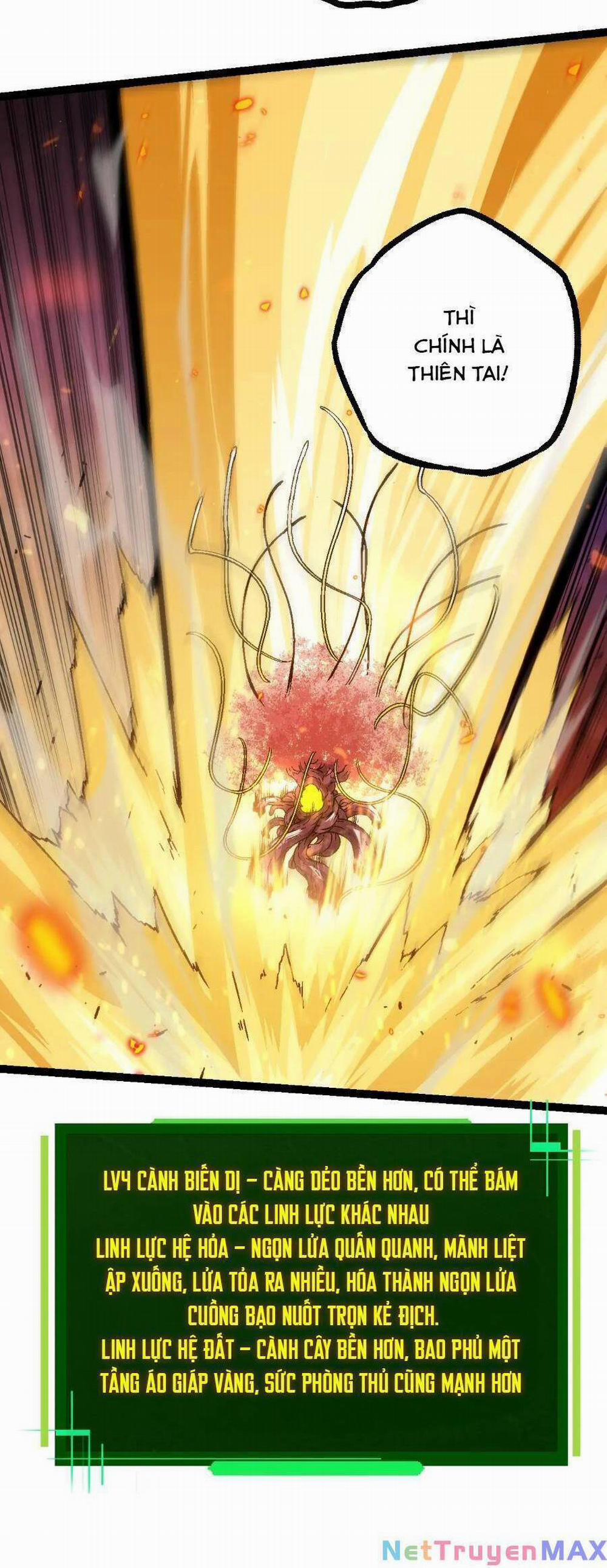 Chuyển Sinh Thành Liễu Đột Biến 80 trang 17