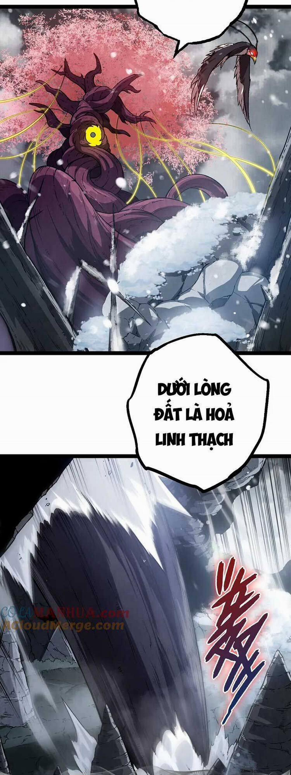 Chuyển Sinh Thành Liễu Đột Biến 81 trang 2