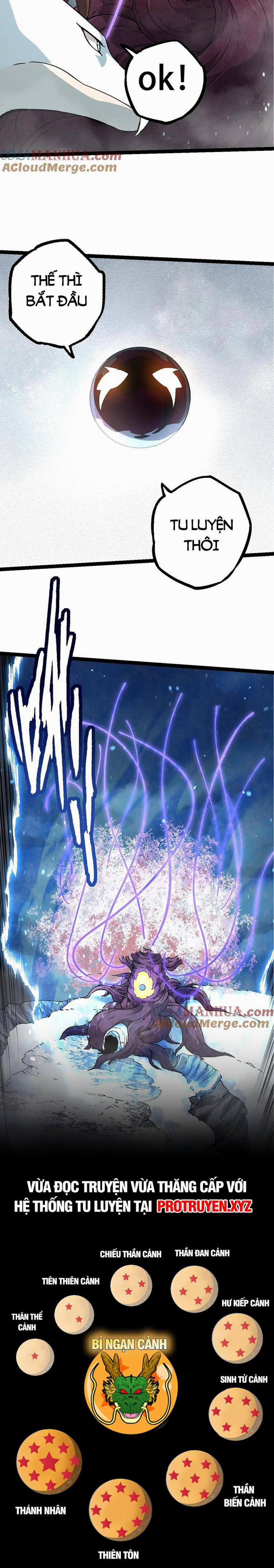 Chuyển Sinh Thành Liễu Đột Biến 90 trang 12