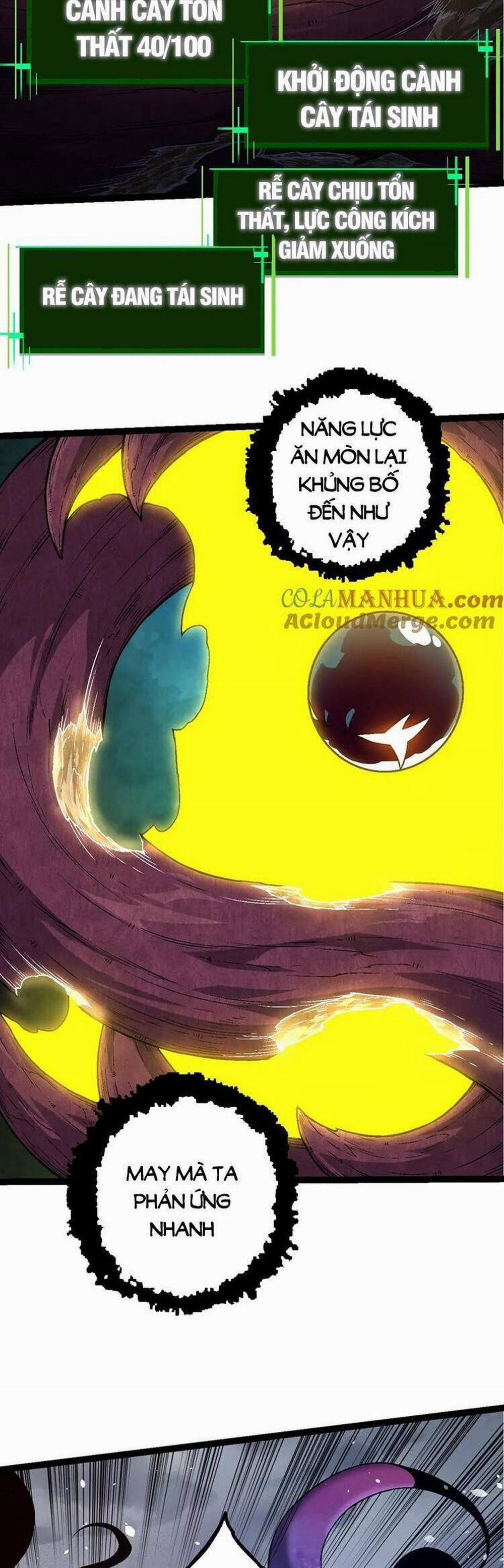 Chuyển Sinh Thành Liễu Đột Biến 98 trang 13