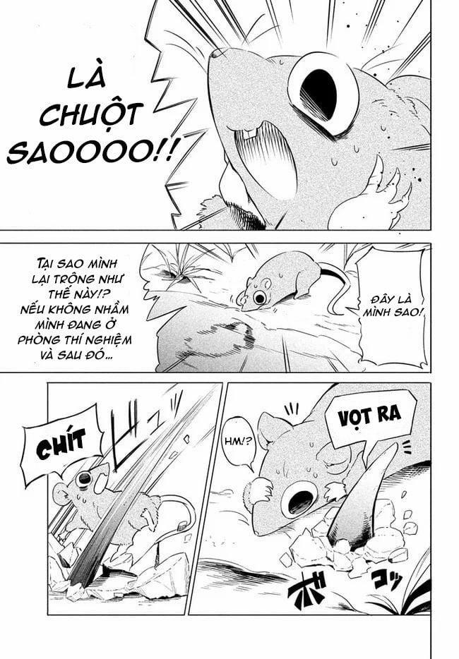 Chuyển Sinh Thành Virus Và Quá Trình Lây Nhiễm Ở Thế Giới Khác 1 trang 12