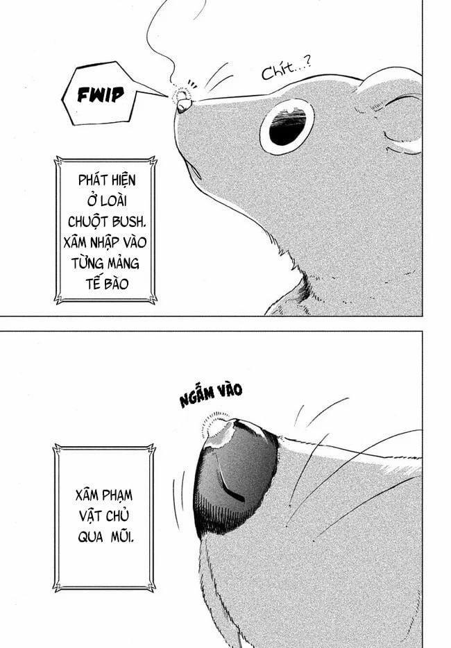 Chuyển Sinh Thành Virus Và Quá Trình Lây Nhiễm Ở Thế Giới Khác 1 trang 6