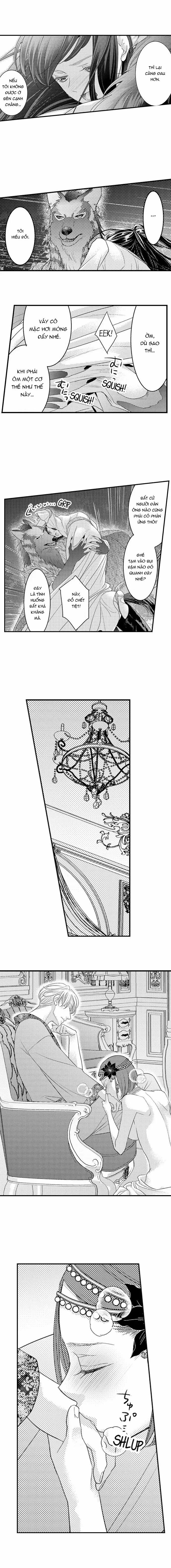 Chuyển Sinh Vào Thế Giới Khác ~ Nếu Muốn Trở Thành Nữ Hoàng Hãy Tìm Cách Để Được Hoàng Đế Sủng Ái Vào Ban Đêm 72.1 trang 2