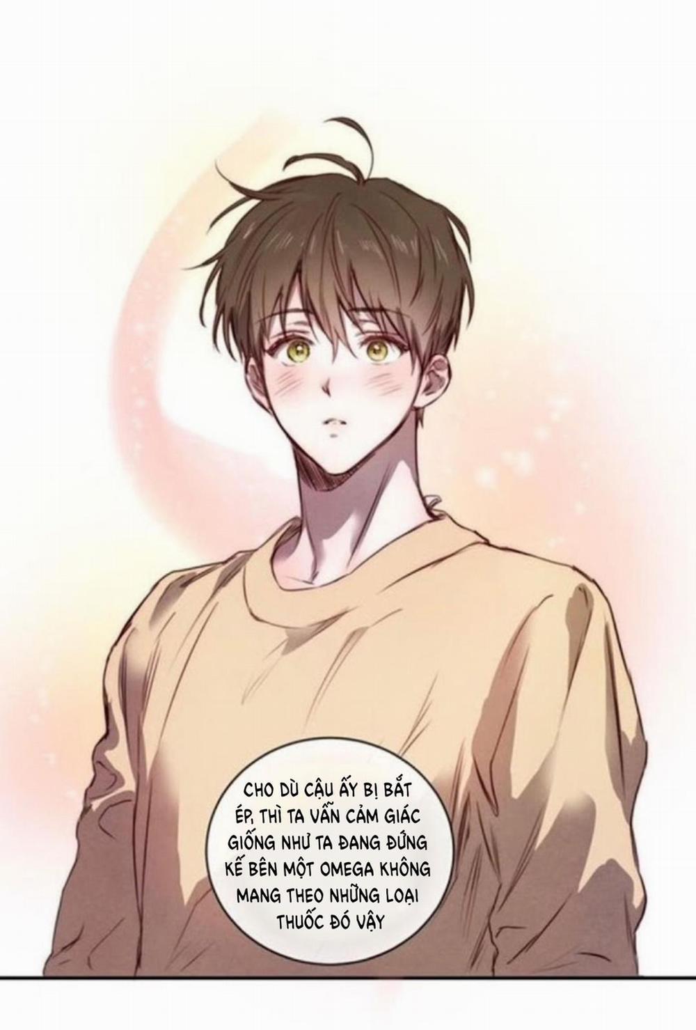 Chuyện Tình Cây Liễu 4 trang 9