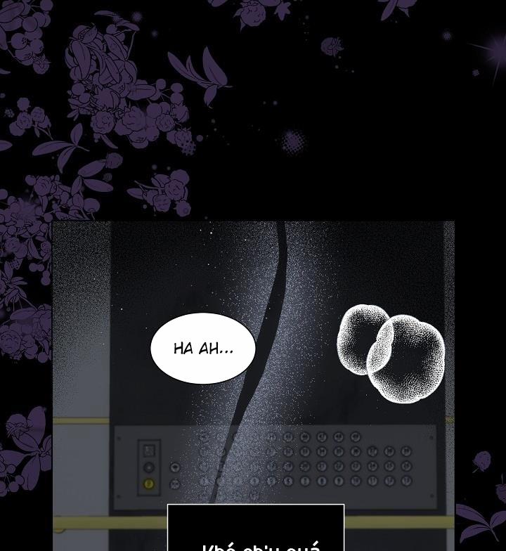 Chuyện Tình Manhattan 28 trang 2