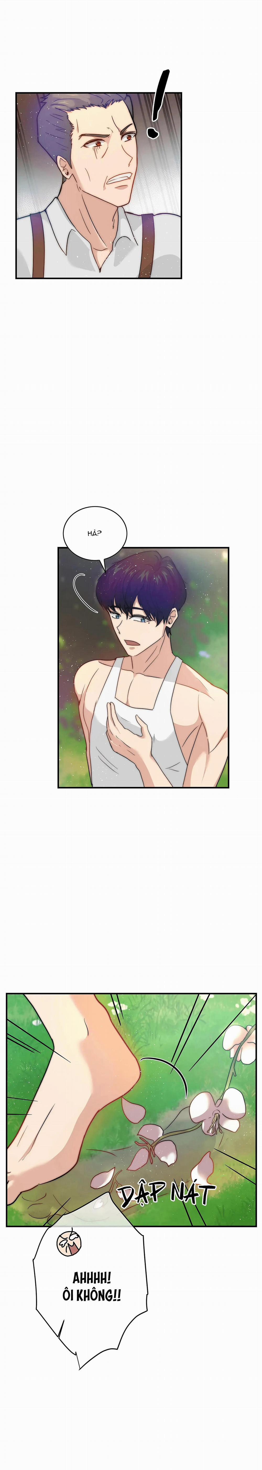 Cinderella 5 trang 2