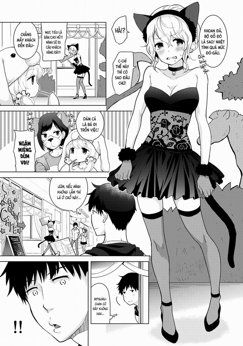 Cô bé mèo hoang 17.0 Khi mèo hoang chỉ là chuột thì ắc cần mèo mới... trang 4