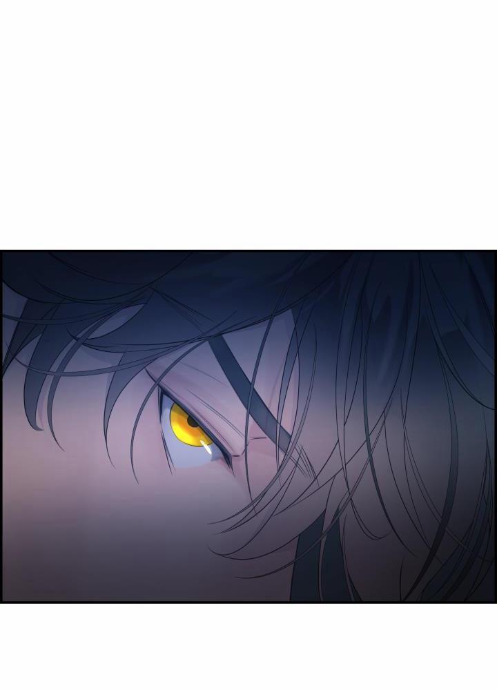 Cơ Chế Bảo Vệ 12 trang 15