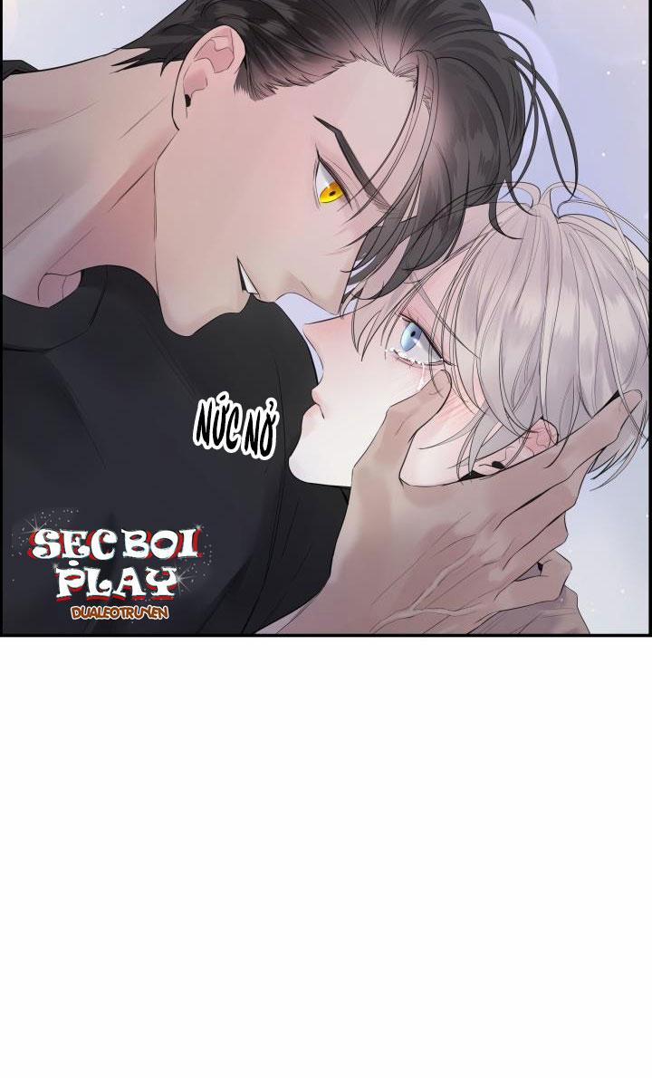 Cơ Chế Bảo Vệ 21 trang 2