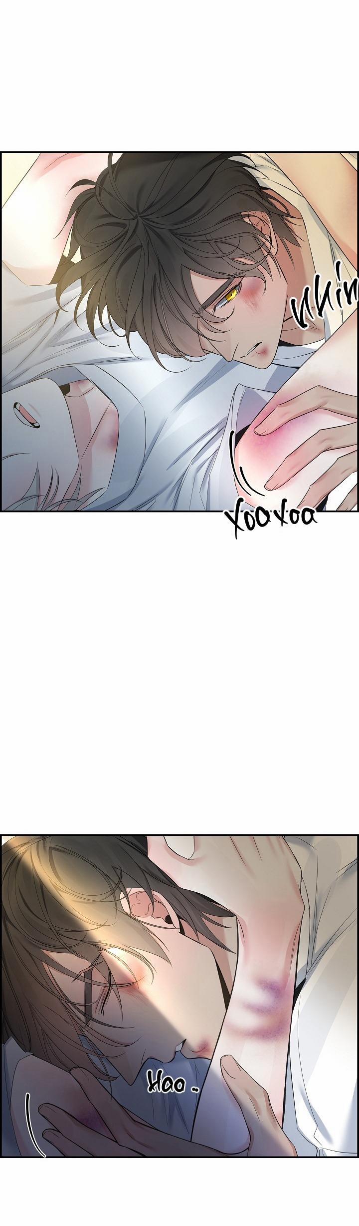 Cơ Chế Bảo Vệ 42 trang 19