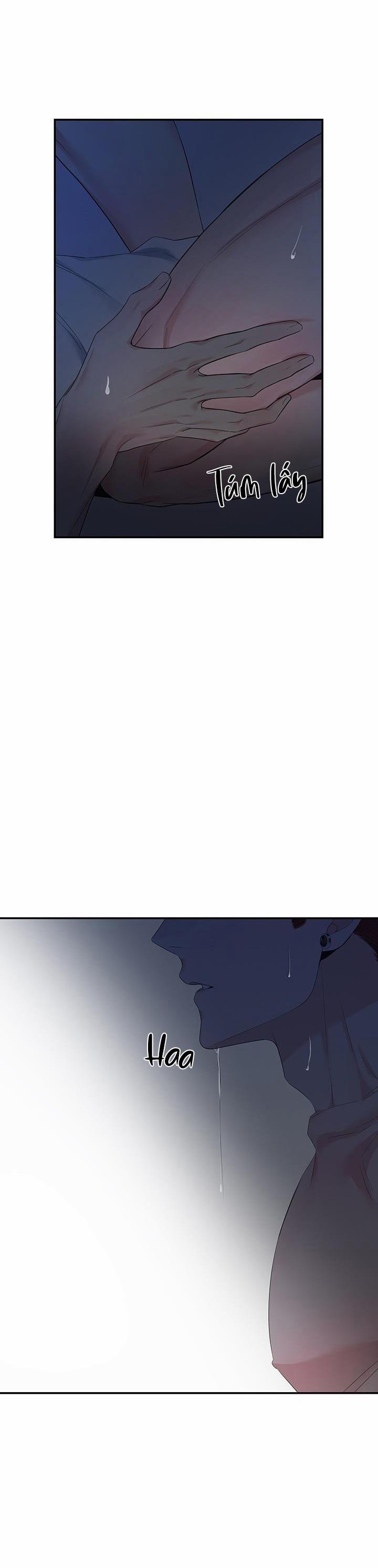 Cơ Chế Bảo Vệ 44 trang 33