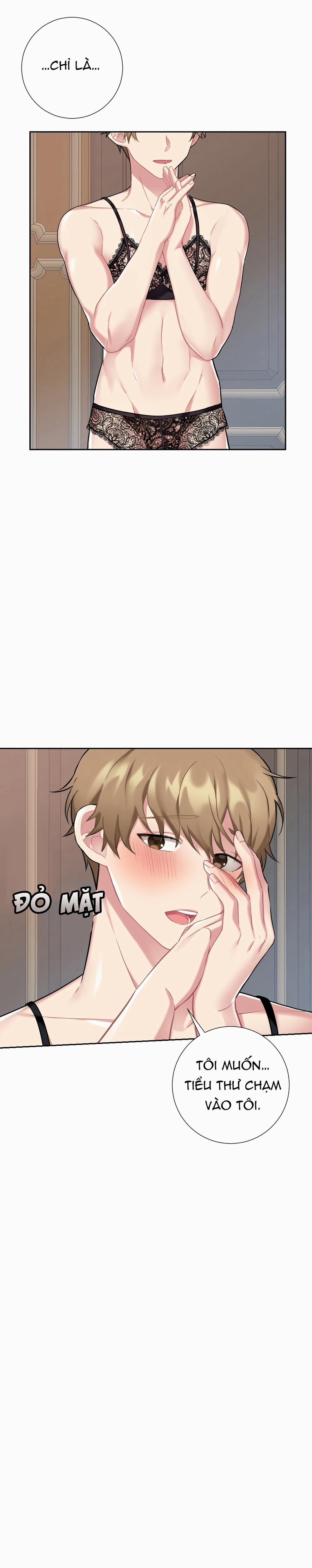 Cô Chủ Và Người Hầu 16 trang 11