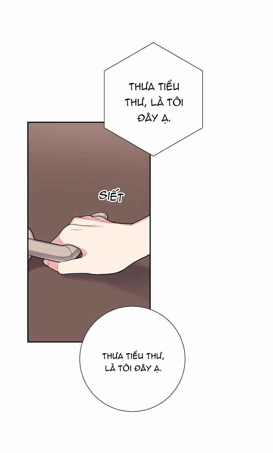 Cô Chủ Và Người Hầu 23 trang 19