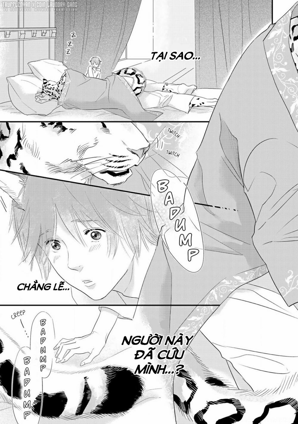 Cô Dâu Cáo Sa Mạc Của Quý Ngài Thú Vương 1 trang 19