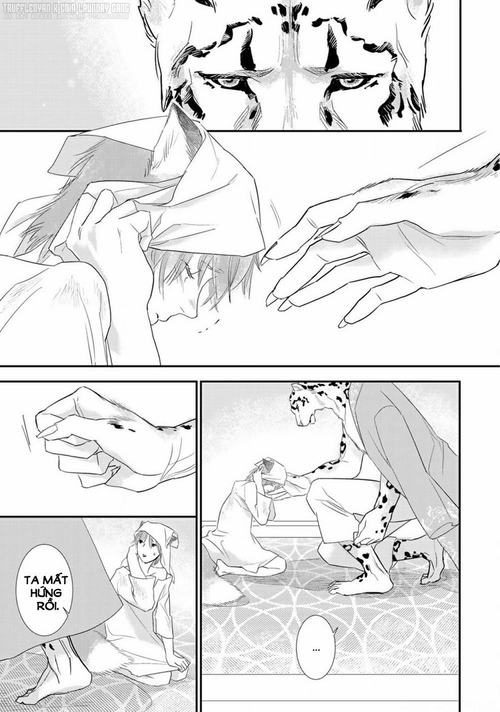 Cô Dâu Cáo Sa Mạc Của Quý Ngài Thú Vương 1 trang 23