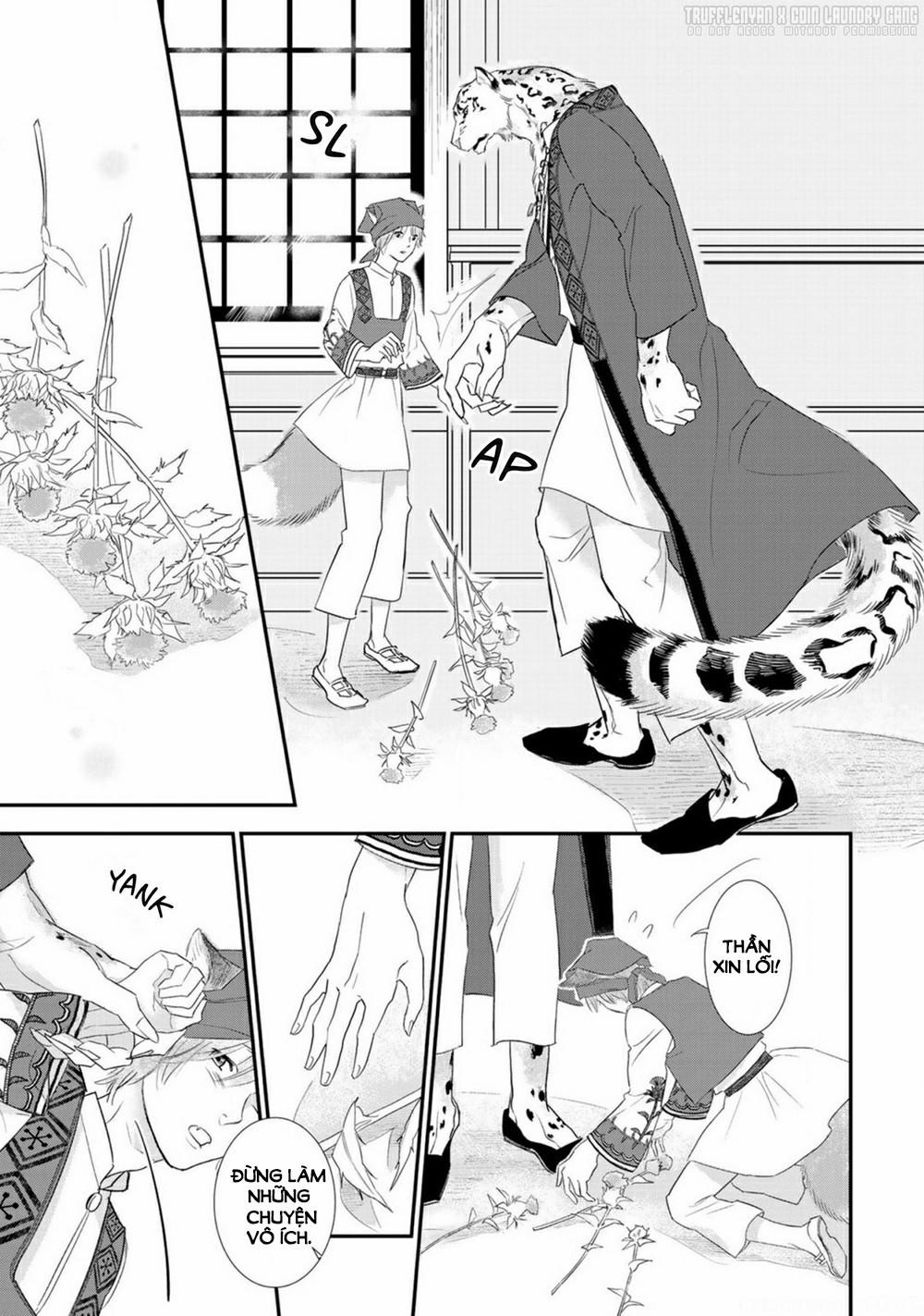 Cô Dâu Cáo Sa Mạc Của Quý Ngài Thú Vương 1 trang 31