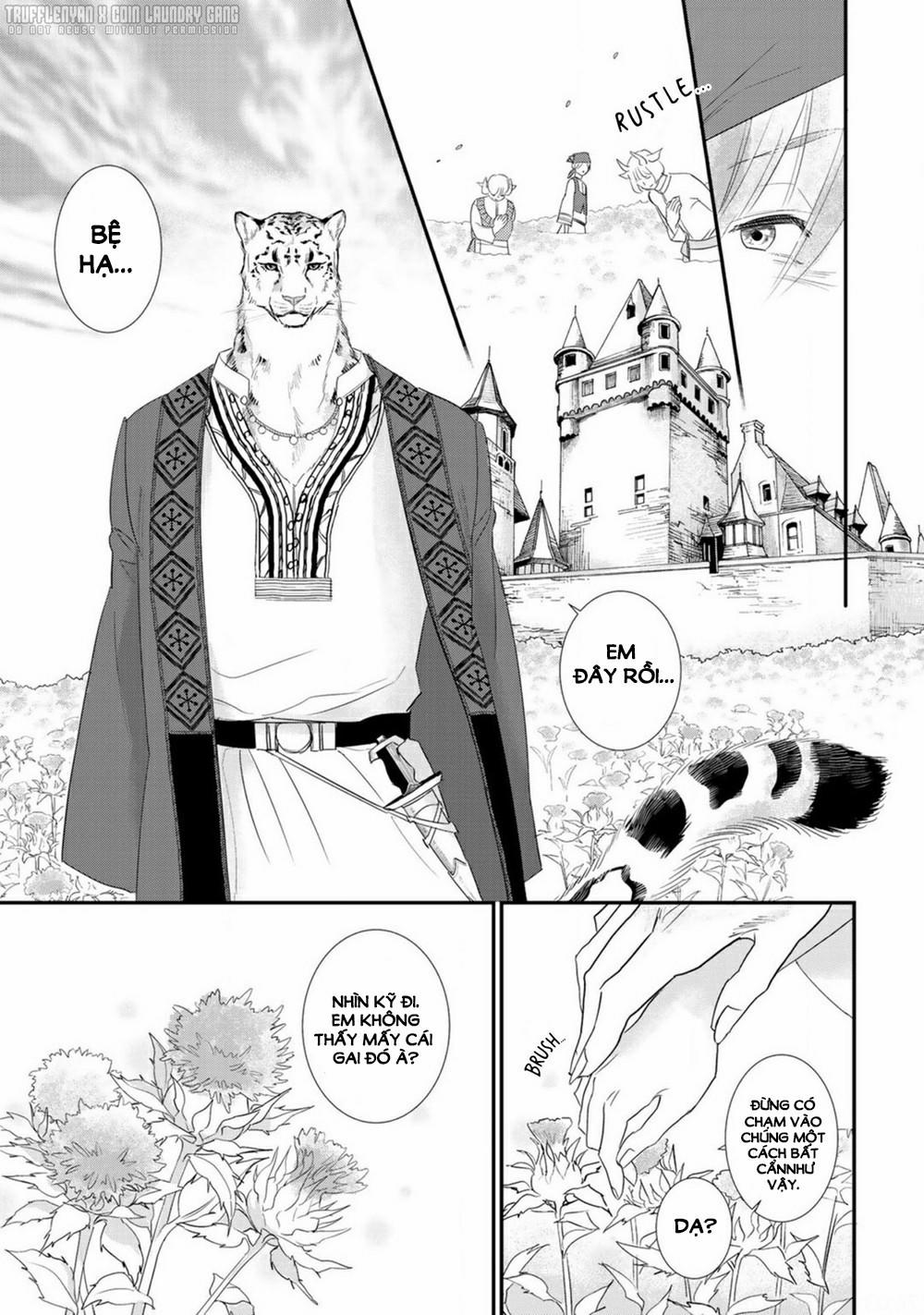 Cô Dâu Cáo Sa Mạc Của Quý Ngài Thú Vương 1 trang 37