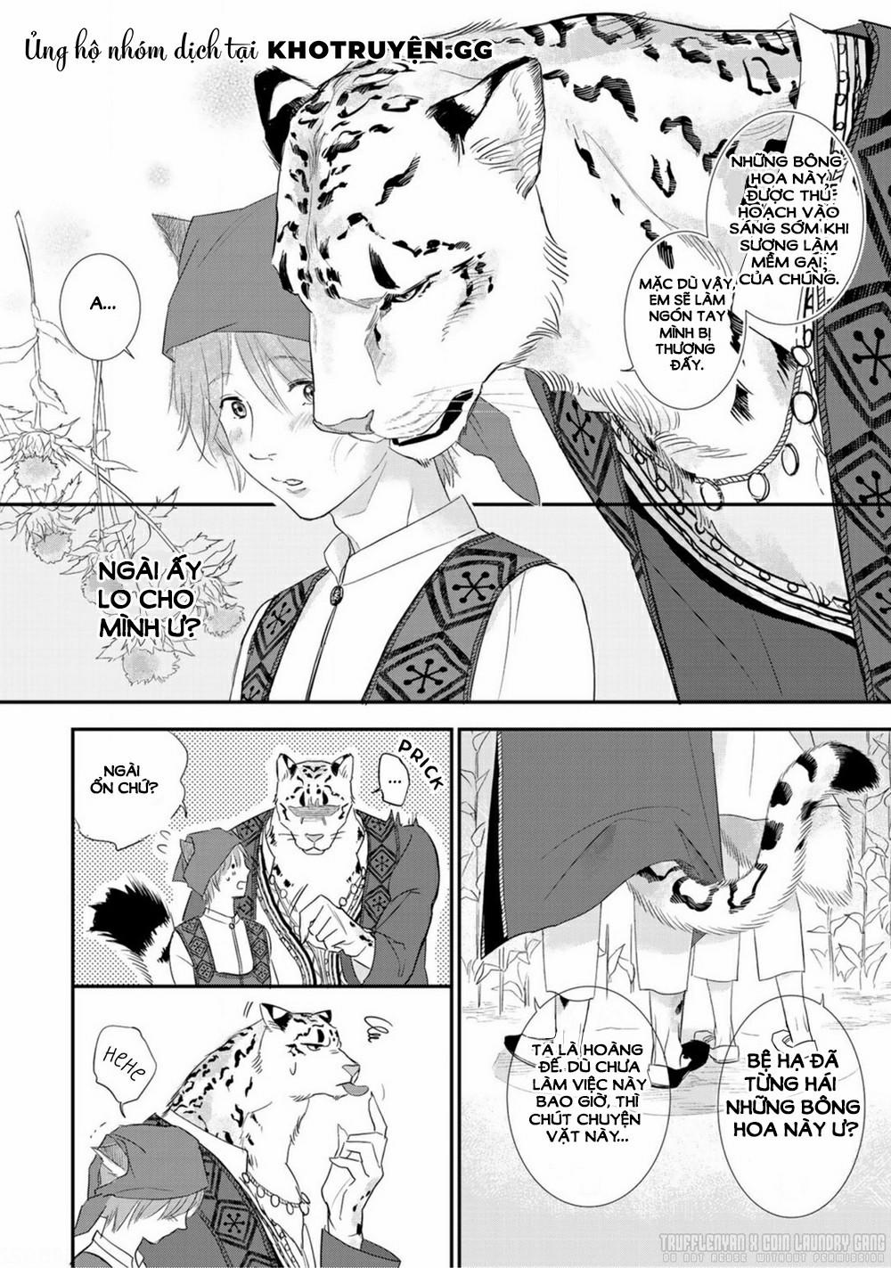Cô Dâu Cáo Sa Mạc Của Quý Ngài Thú Vương 1 trang 38