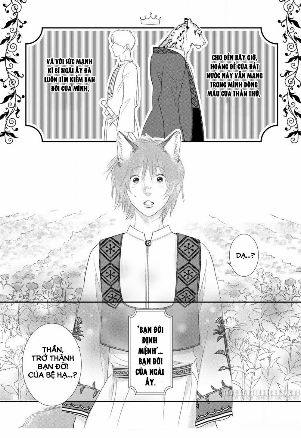 Cô Dâu Cáo Sa Mạc Của Quý Ngài Thú Vương 1 trang 45