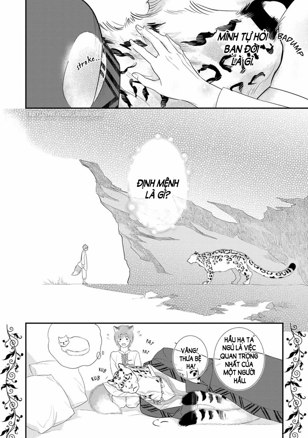 Cô Dâu Cáo Sa Mạc Của Quý Ngài Thú Vương 2 trang 24