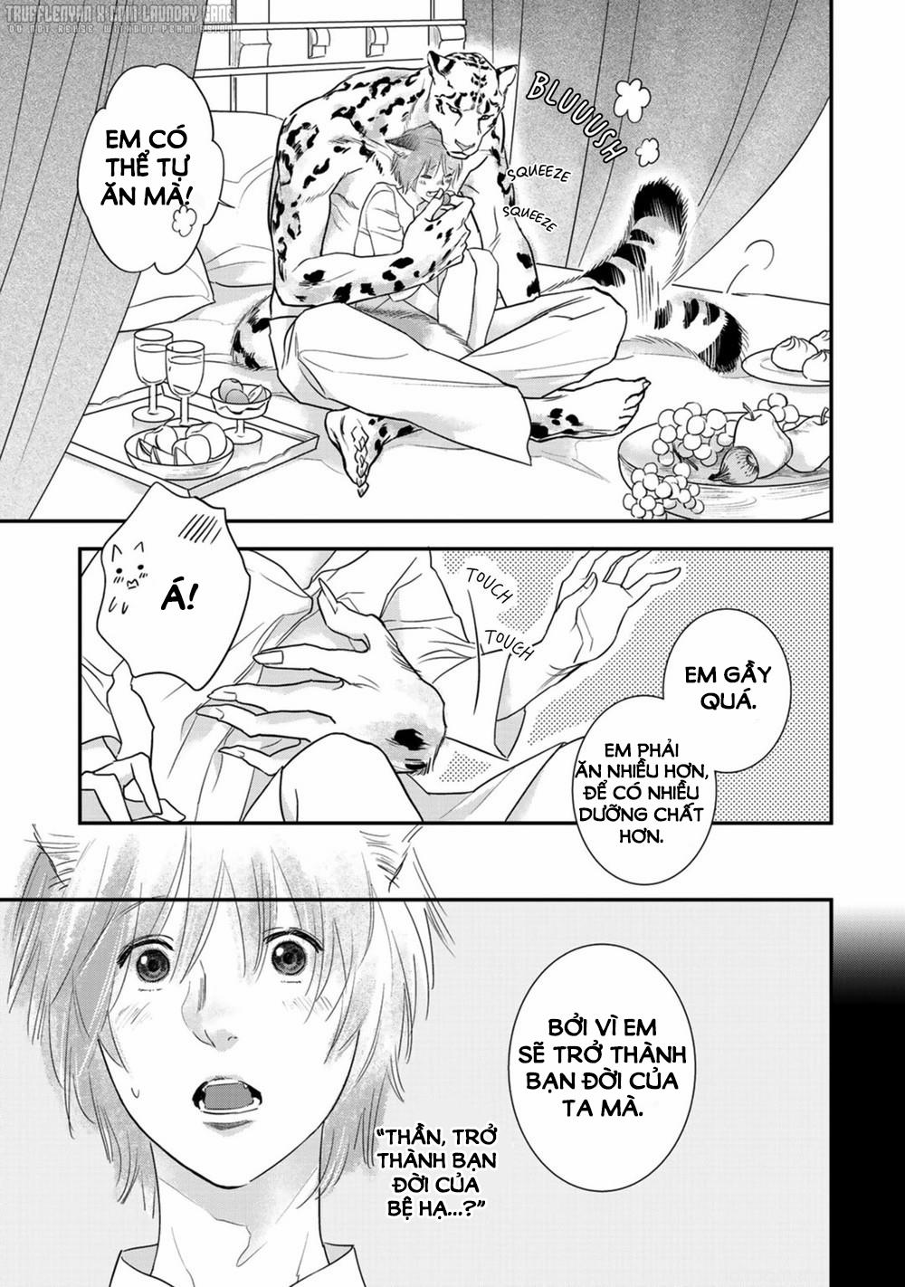 Cô Dâu Cáo Sa Mạc Của Quý Ngài Thú Vương 2 trang 5