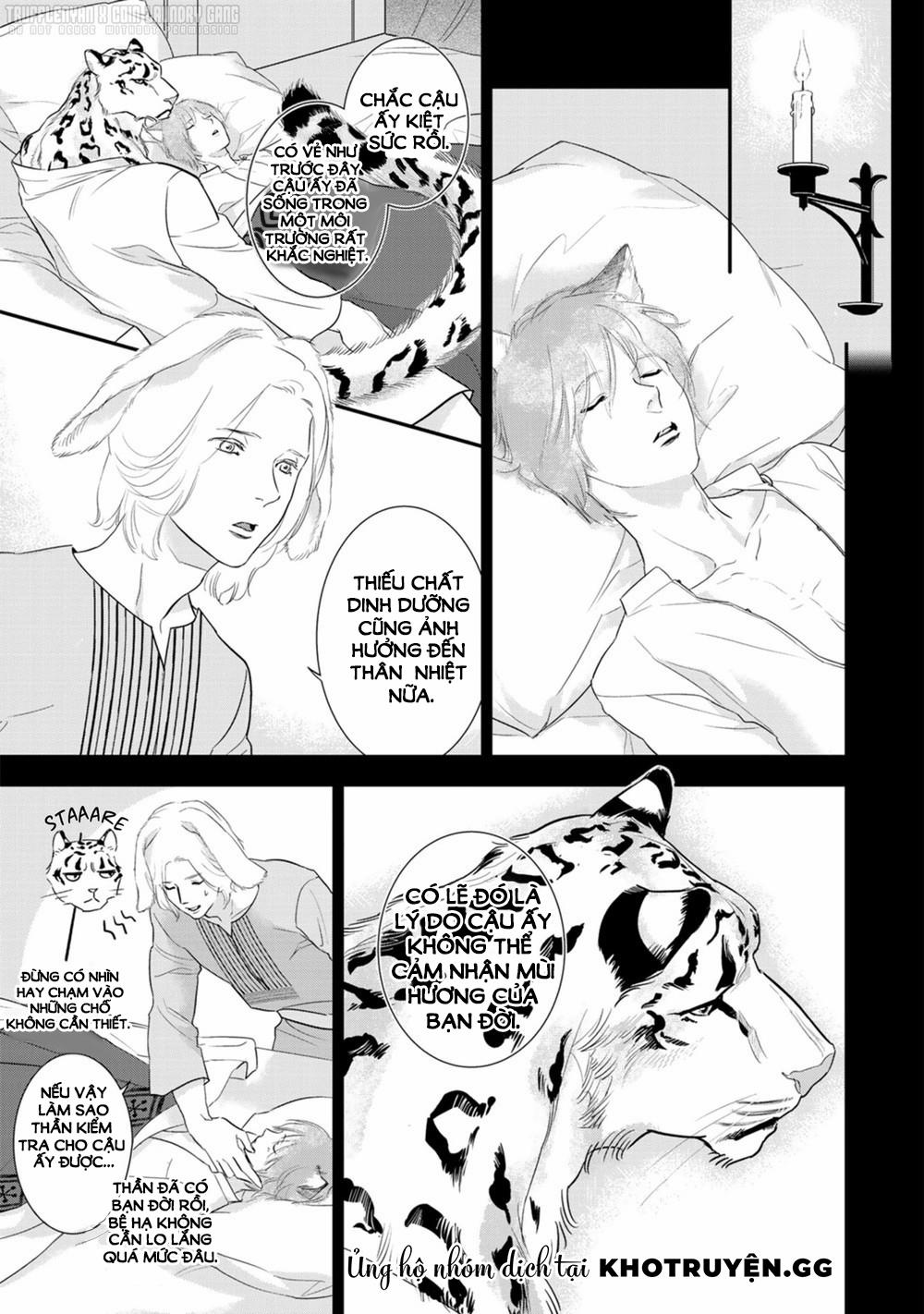 Cô Dâu Cáo Sa Mạc Của Quý Ngài Thú Vương 2 trang 9