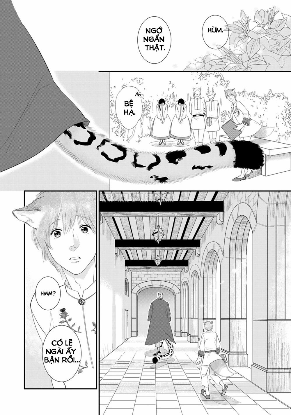 Cô Dâu Cáo Sa Mạc Của Quý Ngài Thú Vương 3 trang 11