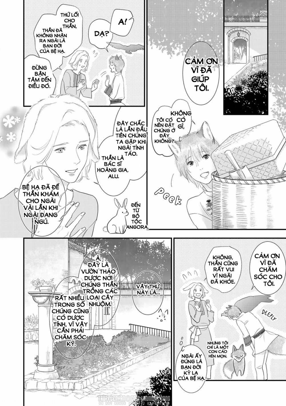 Cô Dâu Cáo Sa Mạc Của Quý Ngài Thú Vương 3 trang 13