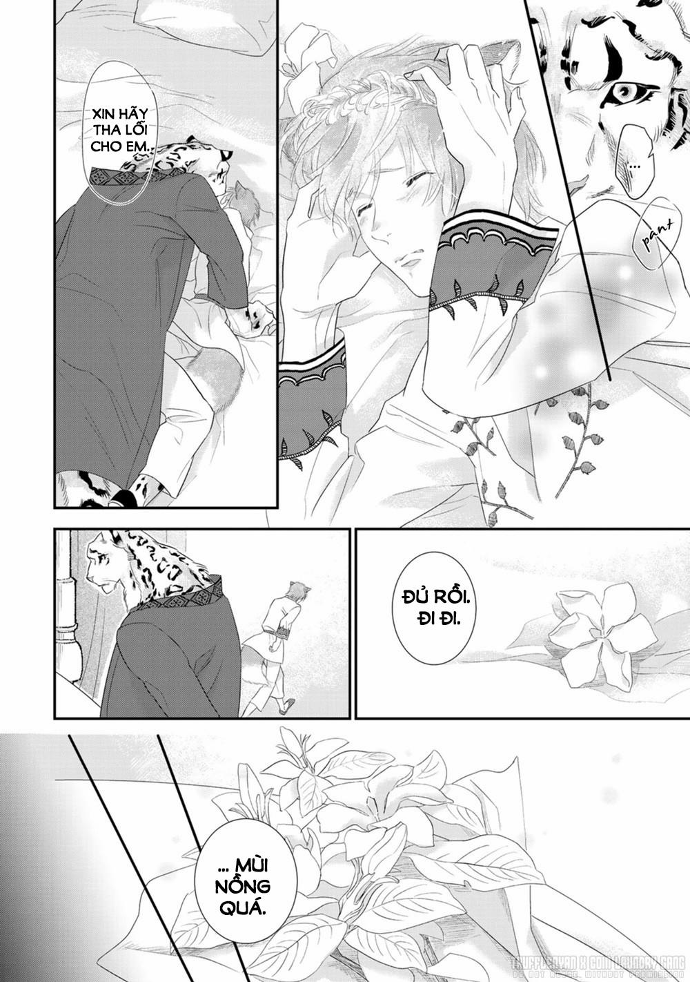 Cô Dâu Cáo Sa Mạc Của Quý Ngài Thú Vương 3 trang 21