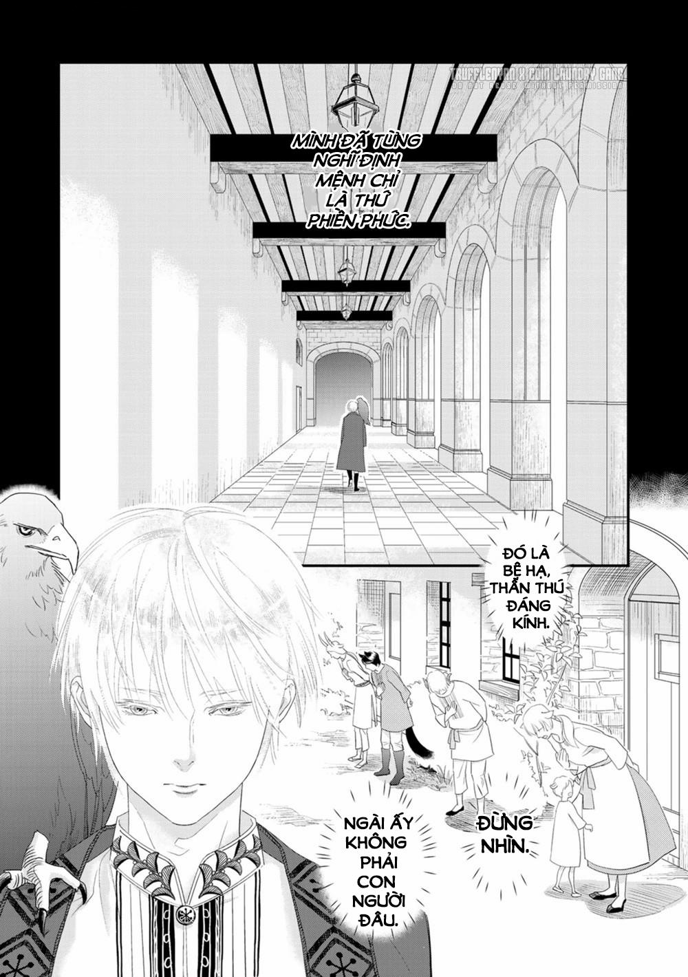 Cô Dâu Cáo Sa Mạc Của Quý Ngài Thú Vương 3 trang 3