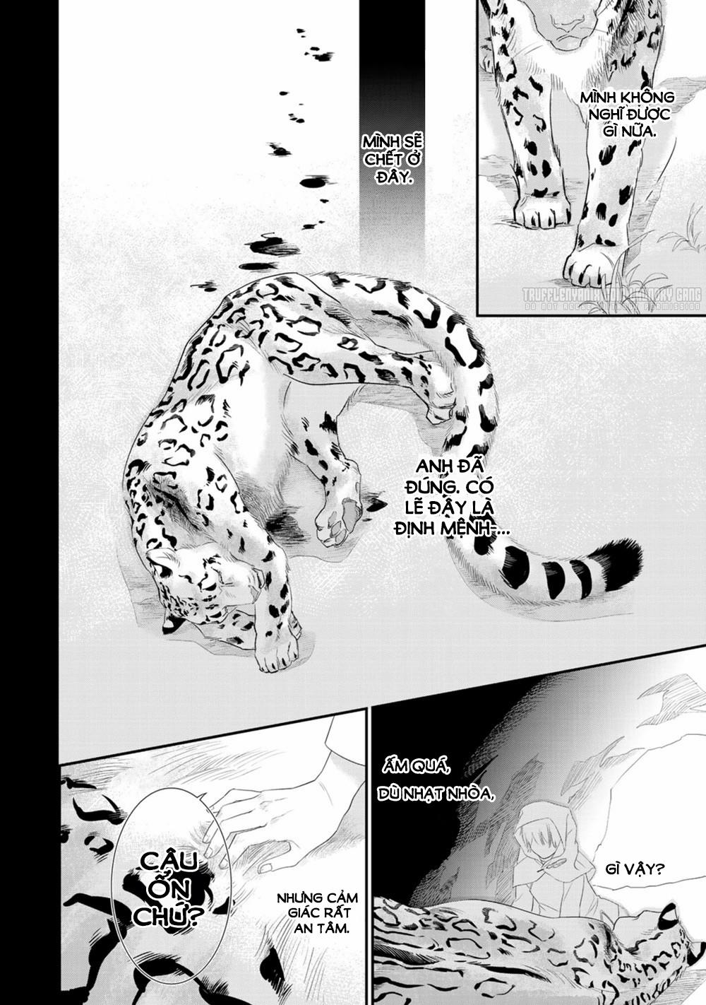 Cô Dâu Cáo Sa Mạc Của Quý Ngài Thú Vương 3 trang 31