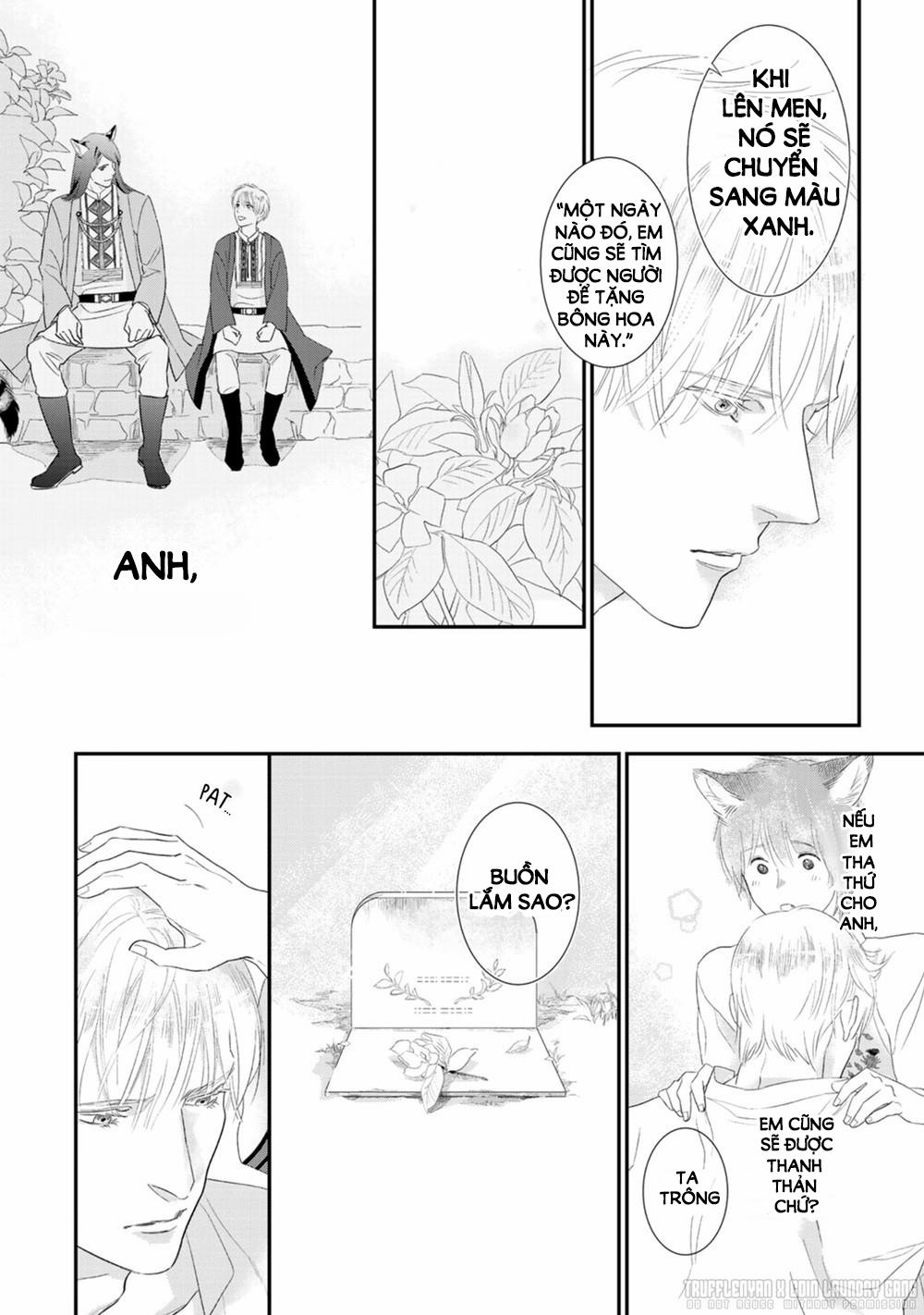 Cô Dâu Cáo Sa Mạc Của Quý Ngài Thú Vương 3 trang 37