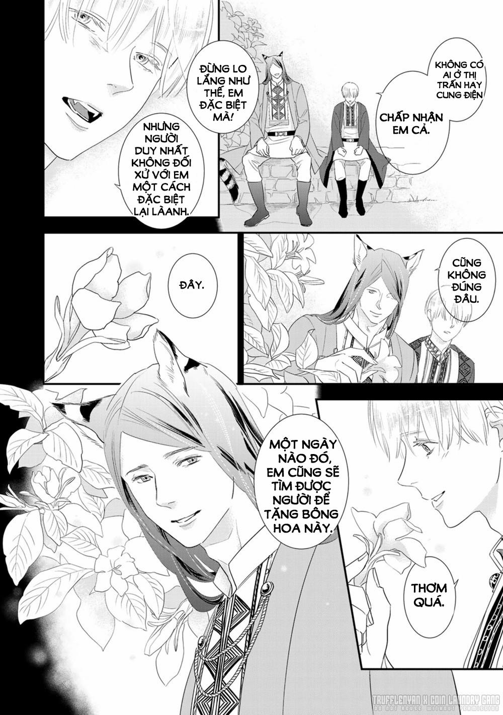 Cô Dâu Cáo Sa Mạc Của Quý Ngài Thú Vương 3 trang 5