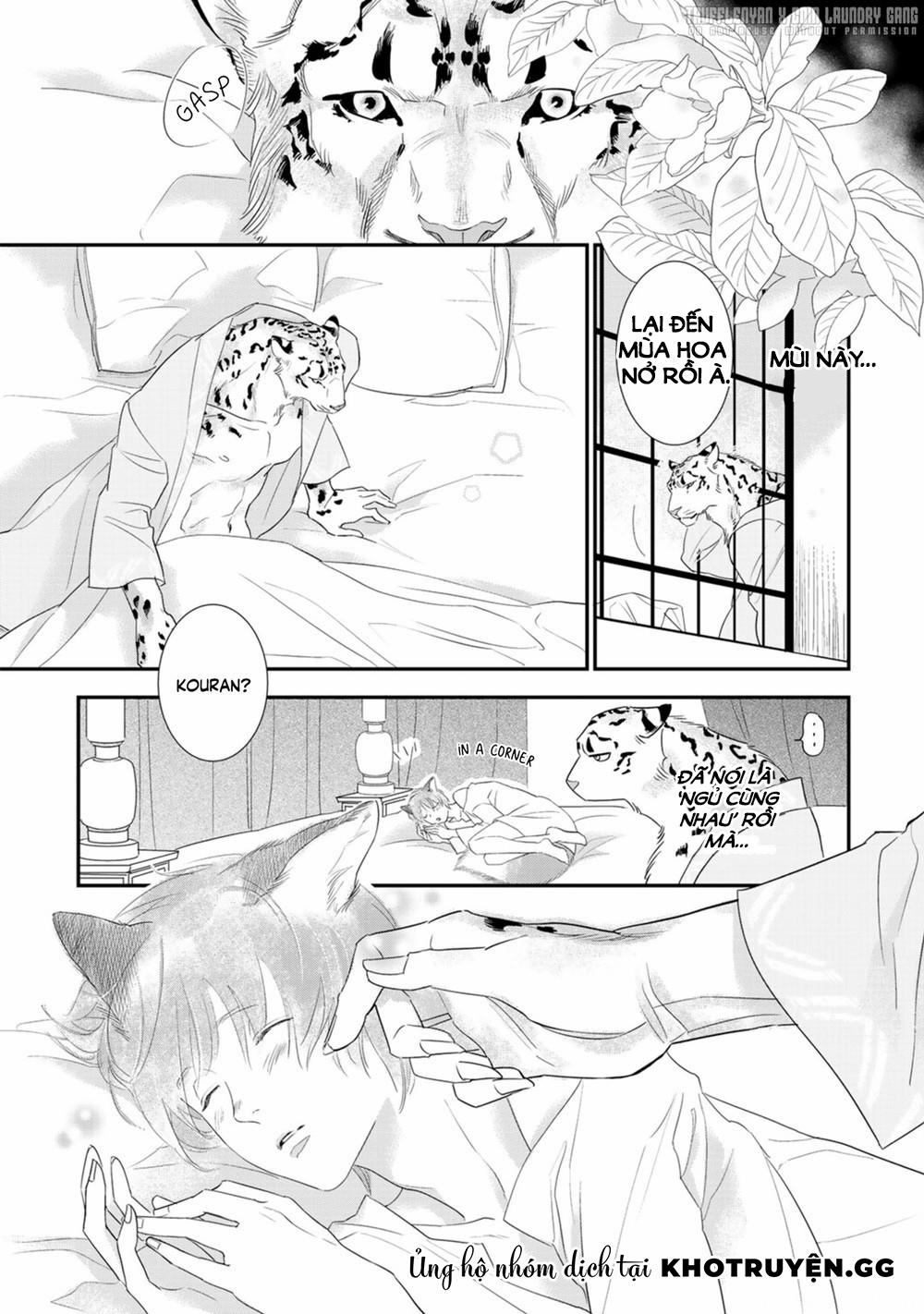 Cô Dâu Cáo Sa Mạc Của Quý Ngài Thú Vương 3 trang 6