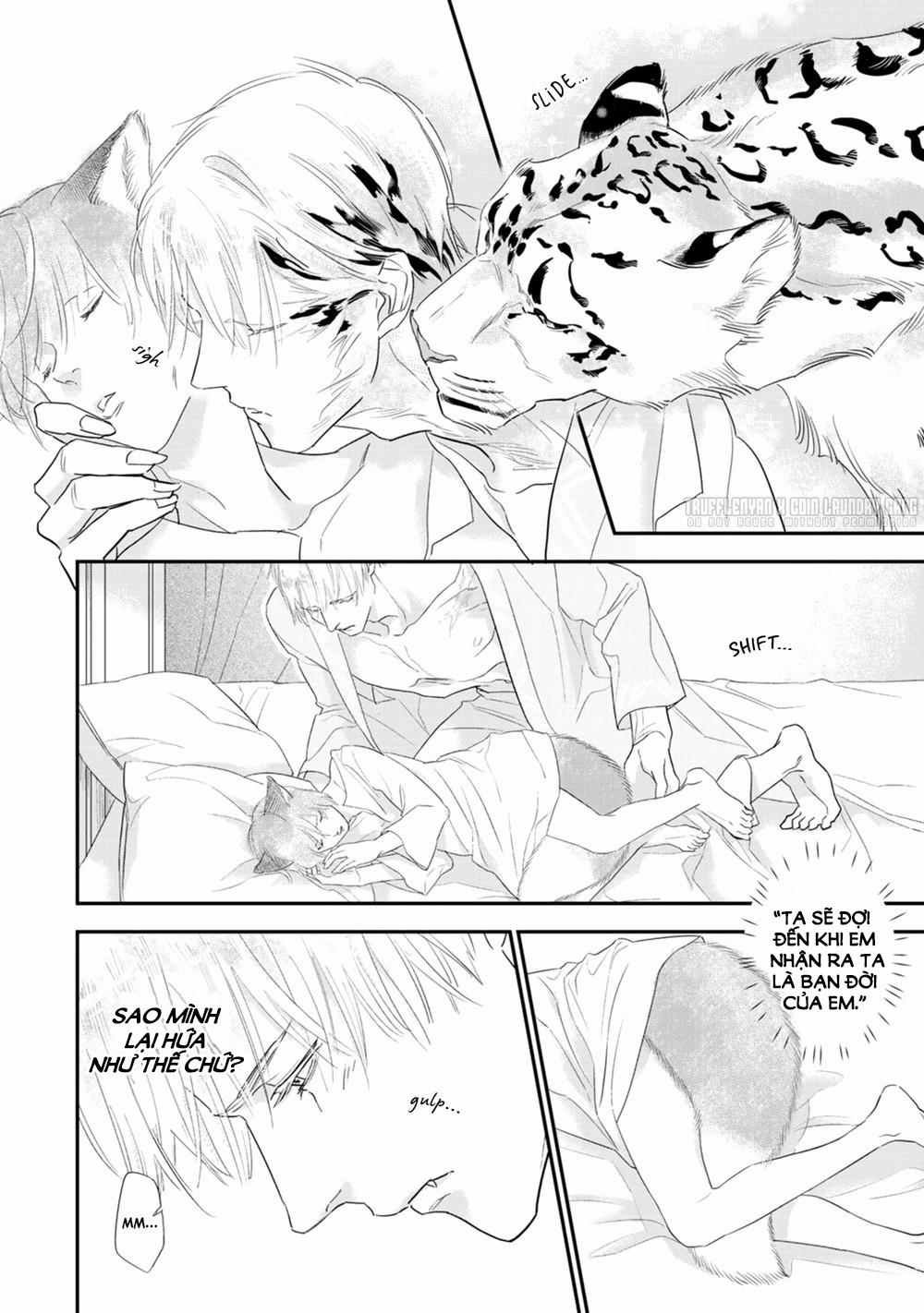 Cô Dâu Cáo Sa Mạc Của Quý Ngài Thú Vương 3 trang 7