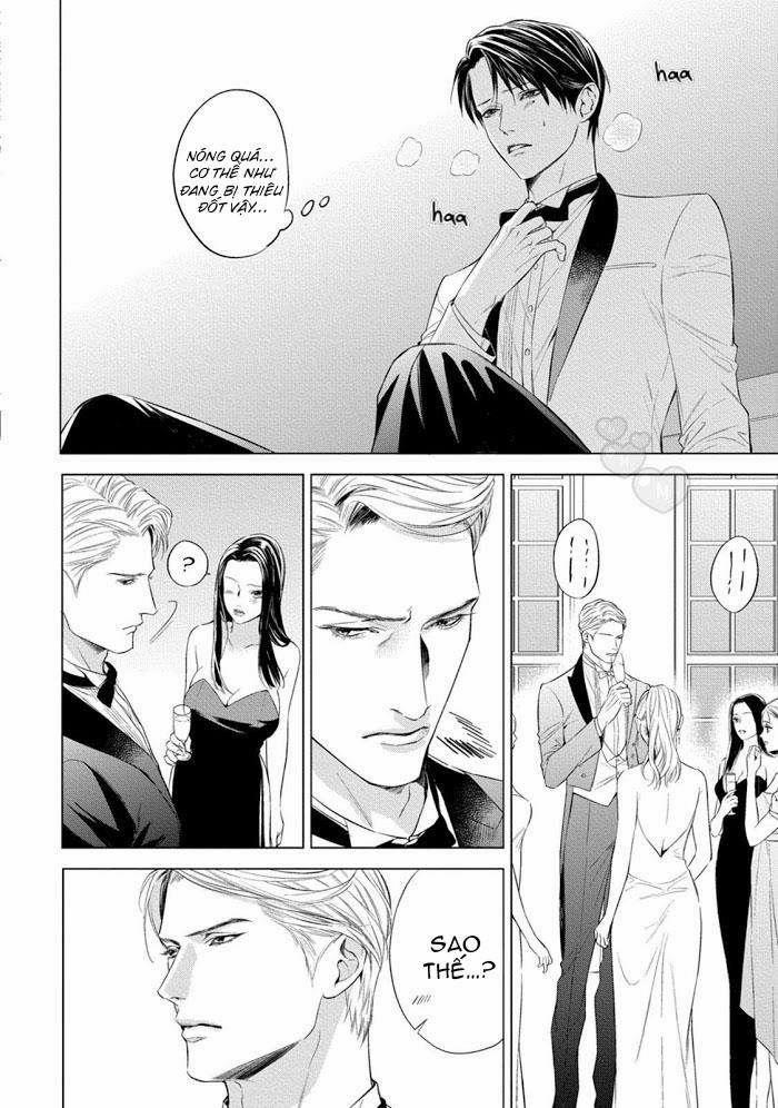 Cô Dâu Của Alpha 1 trang 11